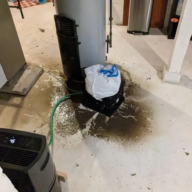 Sewage Backup Cleanup Service in California City, CA